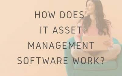 How Does IT Asset Management Software Work?
