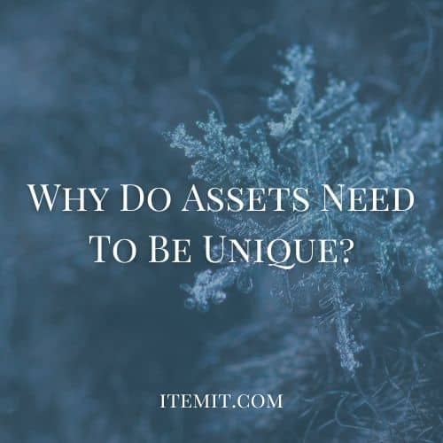 Why Do Assets Need To Be Unique?