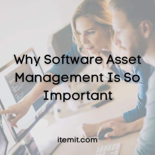 Why Software Asset Management Is So Important
