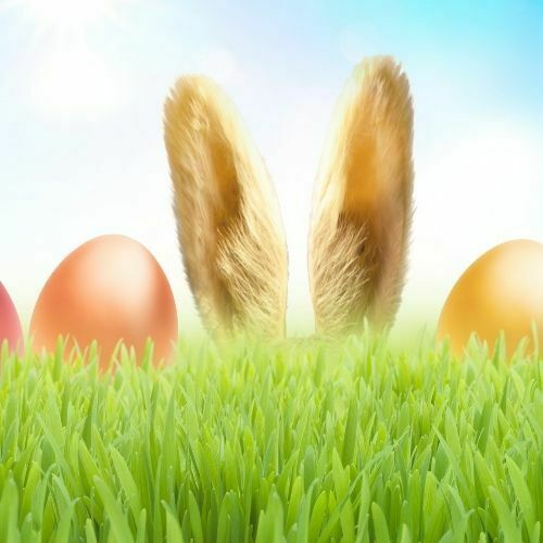 The Easter Bunny’s Top Tips On Using Asset Tracking, For Your Egg Hunt!